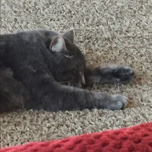 Meet your Posher, Alena